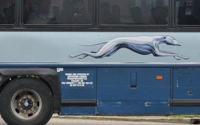 Greyhound, l'entreprise de bus gris, repris par FlixBus