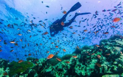 Réouverture de la Thaïlande aux touristes: “la guerre des prix va être féroce”