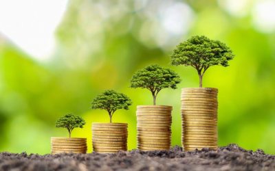 Fonds d'investissement: moins de 1% sont alignés sur les objectifs climatiques