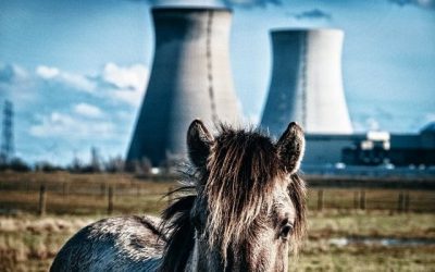 L'impact de la fin du nucléaire ? 15 euros au maximum par an par ménage