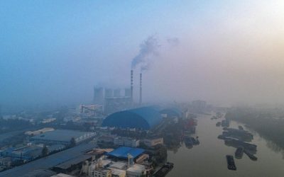 Cop 26: comment Aristote nous joue des tours