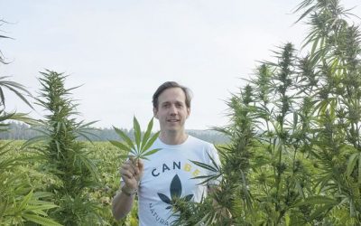 Le CBD, un produit durable d'avenir