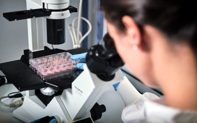 La biotech liégeoise PDC Line Pharma séduit de nouveaux investisseurs coréens