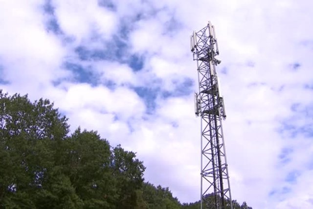Télécoms : “les marques historiques font souvent partie des plus chères du marché”