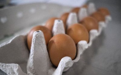 Même un oeuf deviendra inconsommable en Flandre