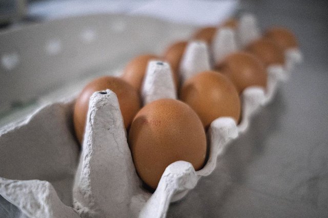 Même un oeuf deviendra inconsommable en Flandre