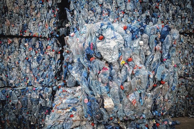 Deuxième usine wallonne pour Fost Plus qui s'installe à Neufchâteau