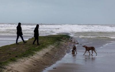 Colruyt peut poursuivre la construction de sa ferme aquacole au large de Nieuport